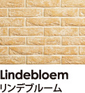 Lindebloem リンデブルーム